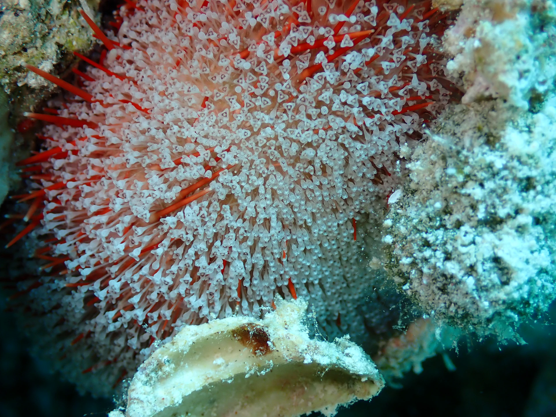 P5212963.JPG