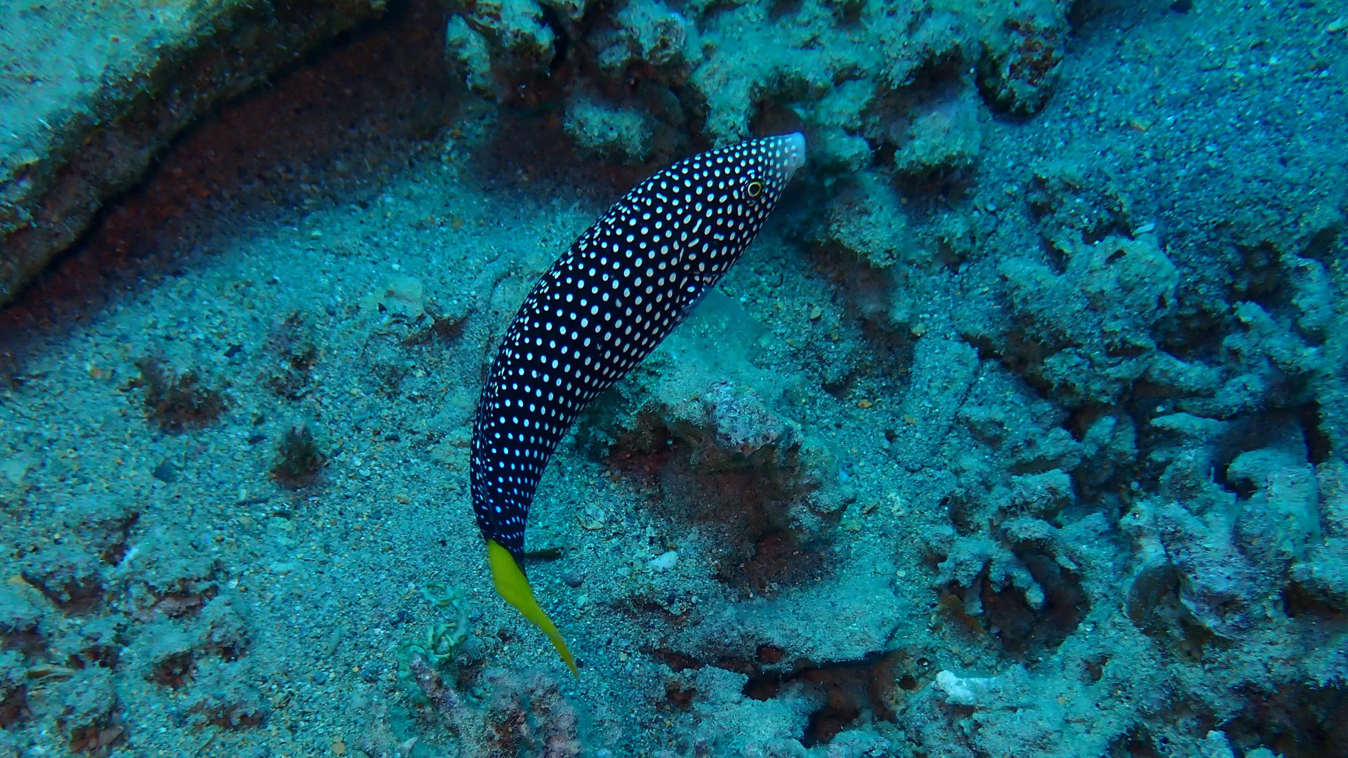 P5212918.JPG