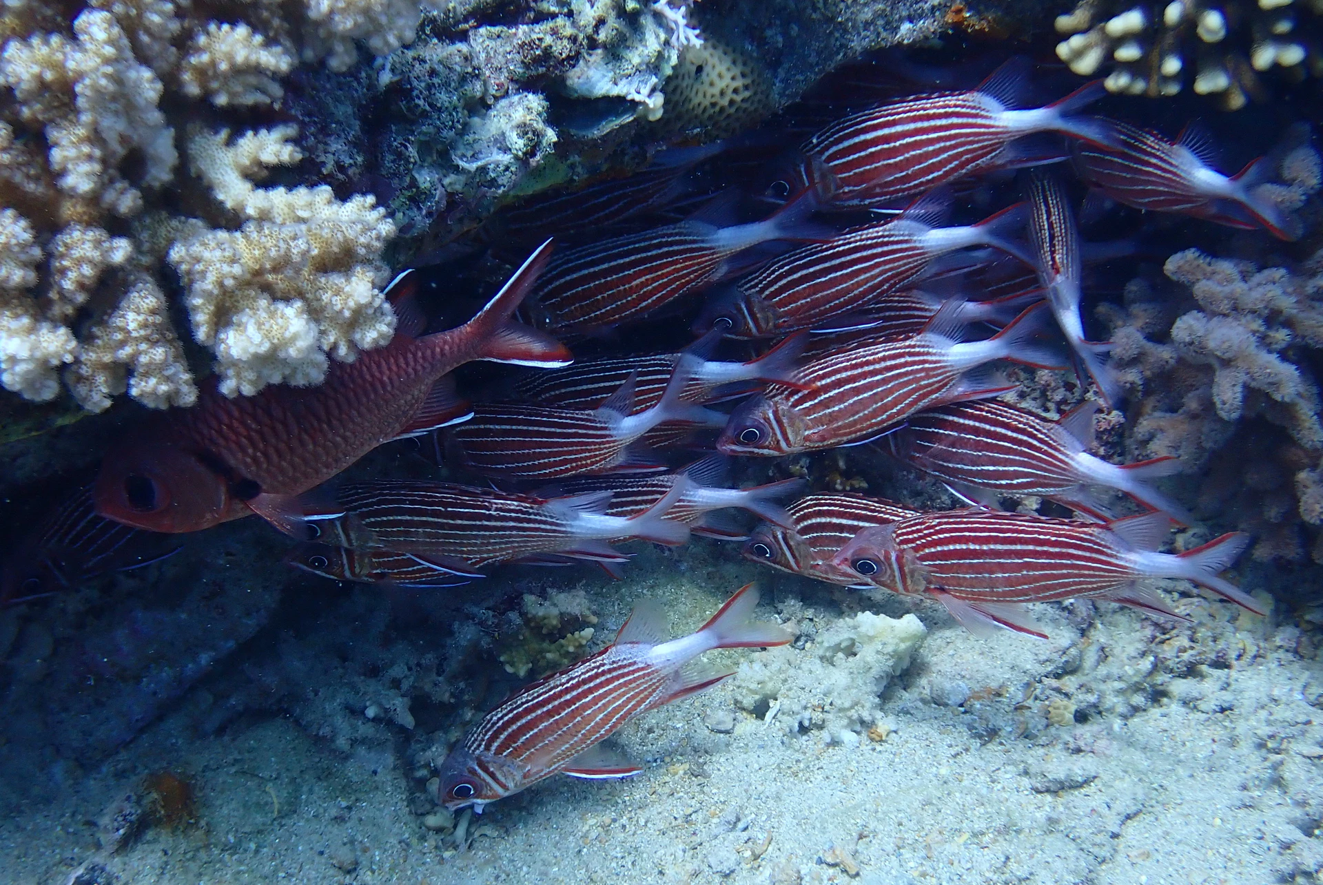 P5212917.JPG