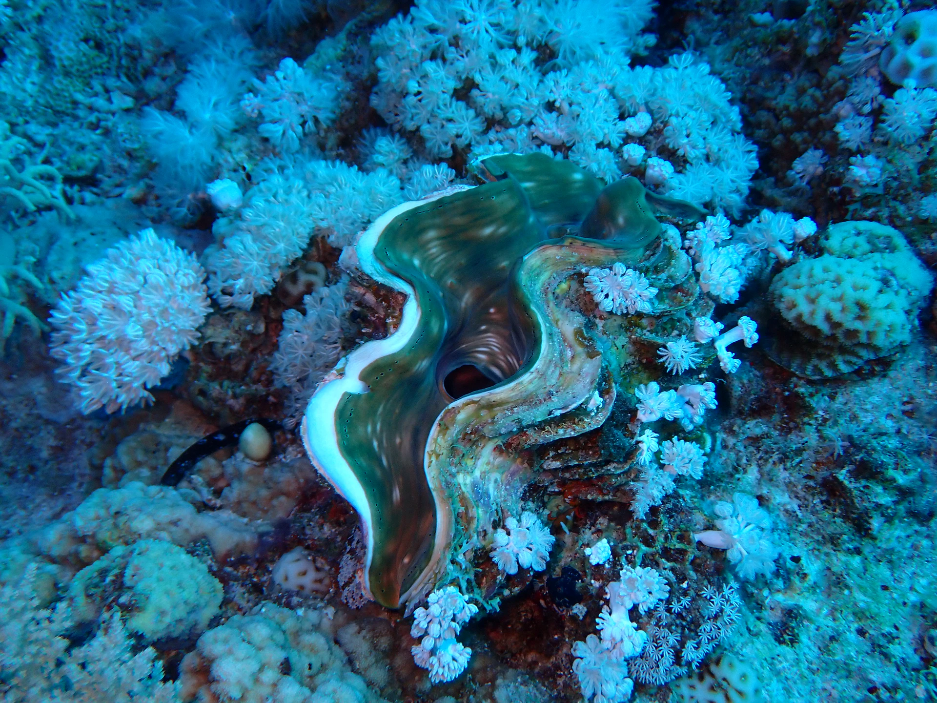 P5202874.JPG