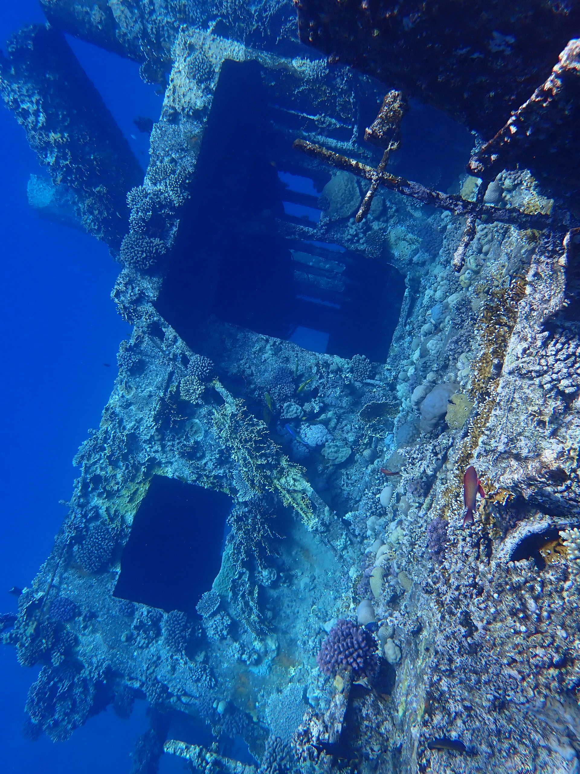P5192848.JPG