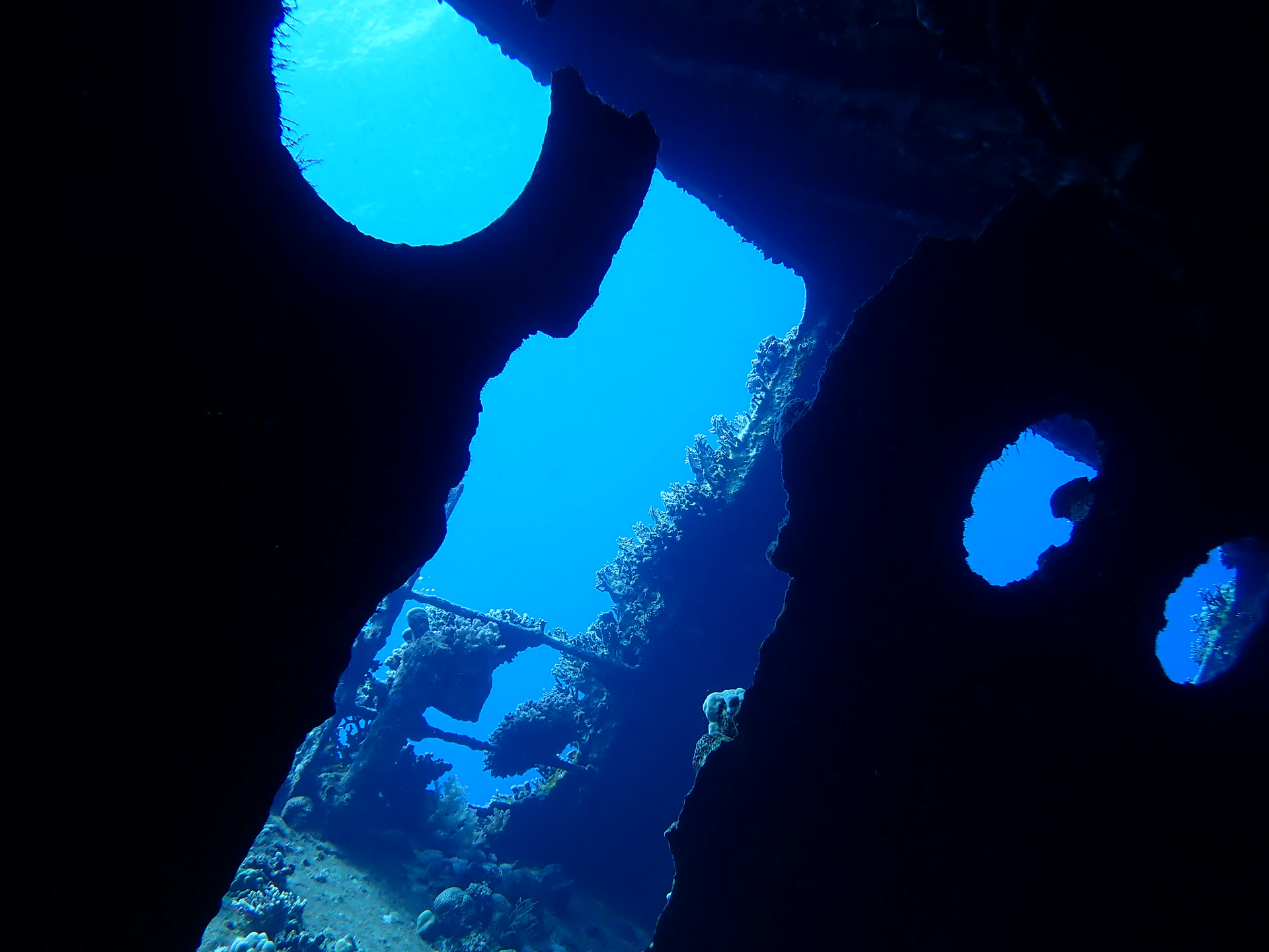 P5192839.JPG