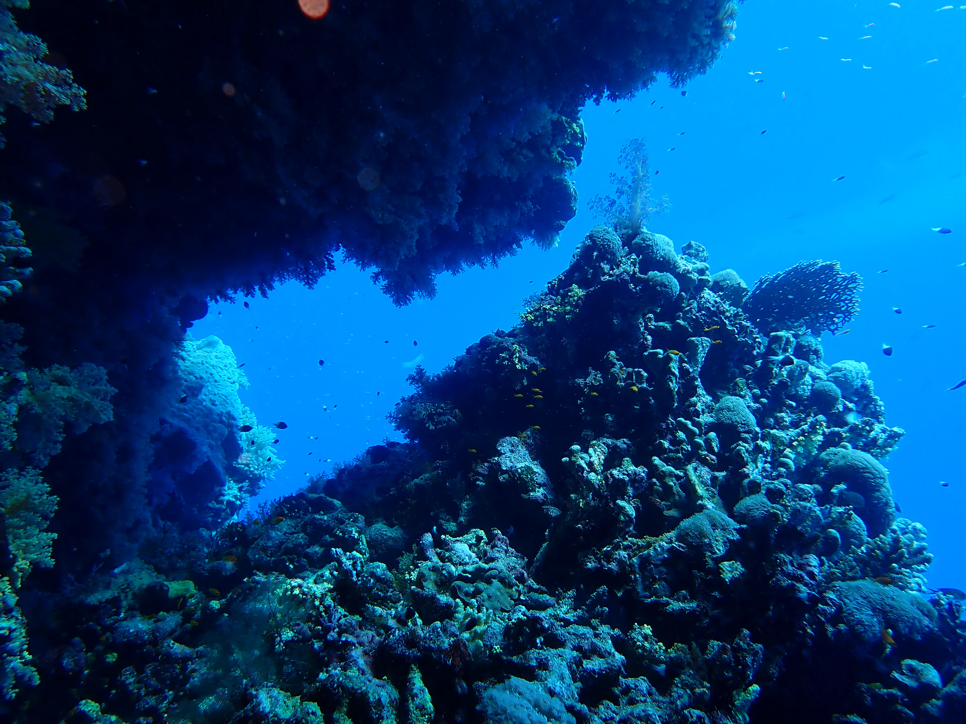 P5182793.JPG