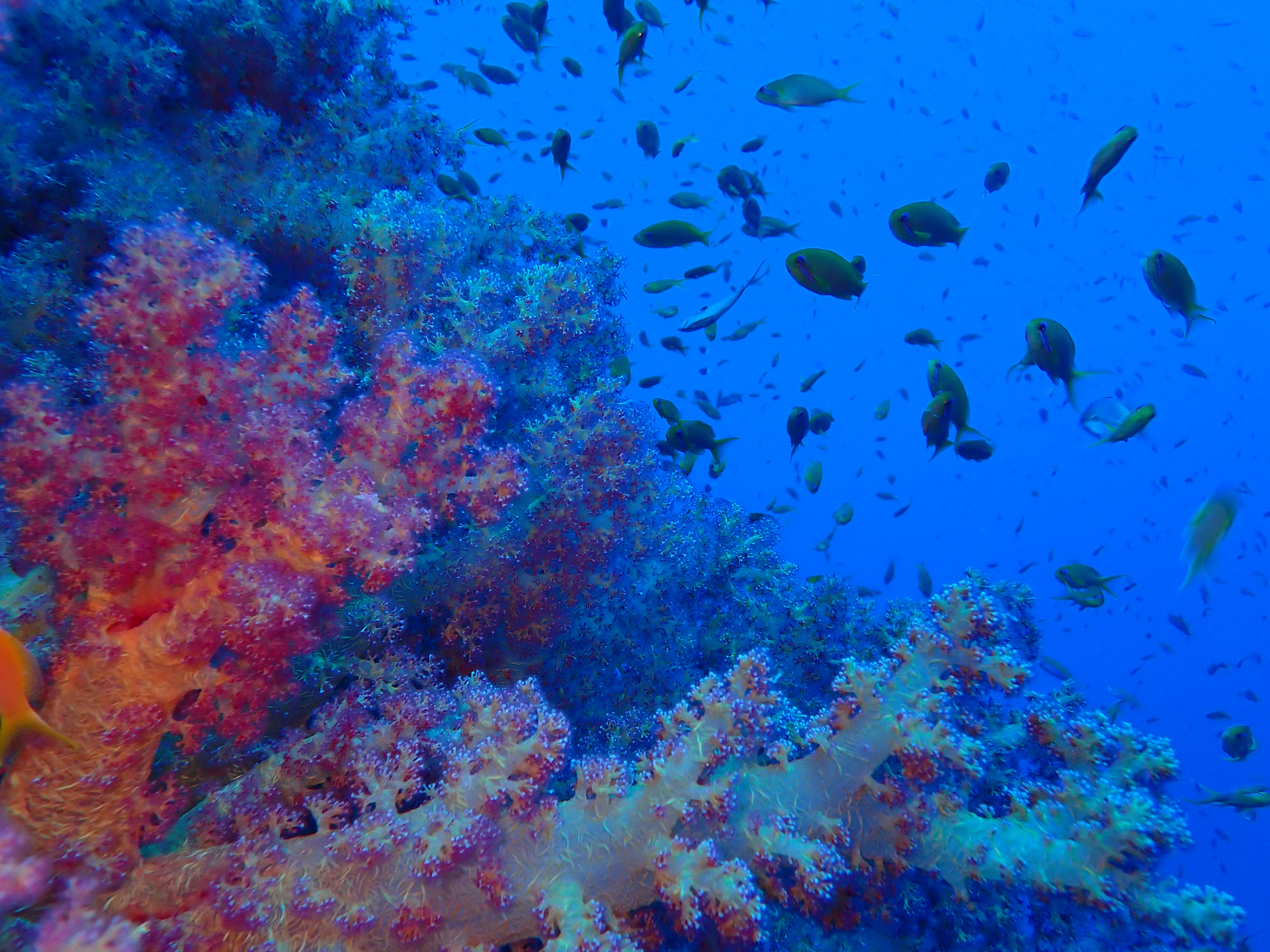 P5182777.JPG