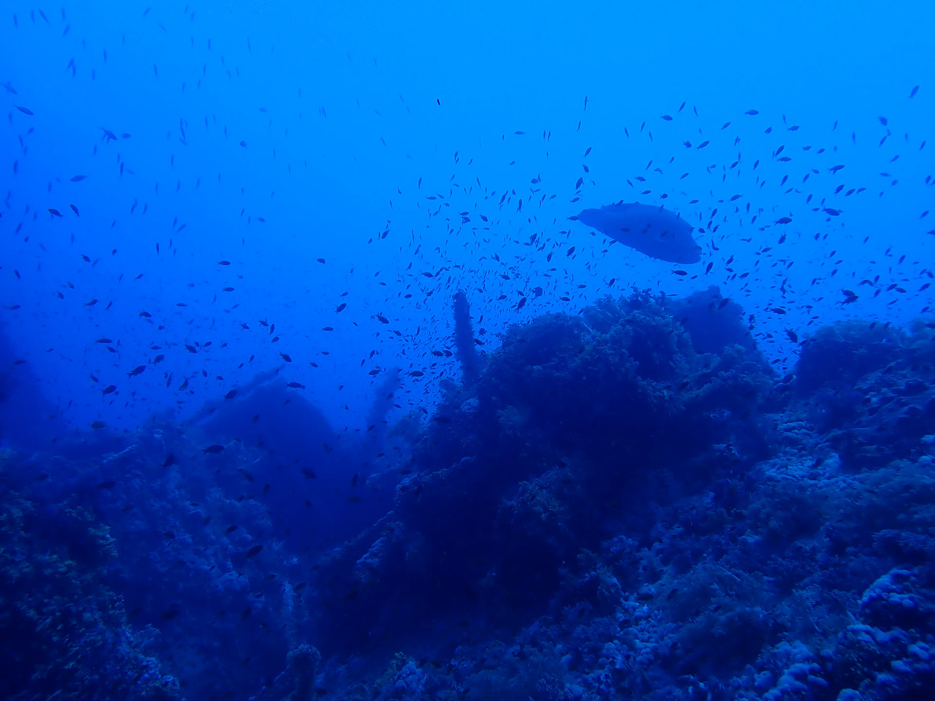 P5182765.JPG