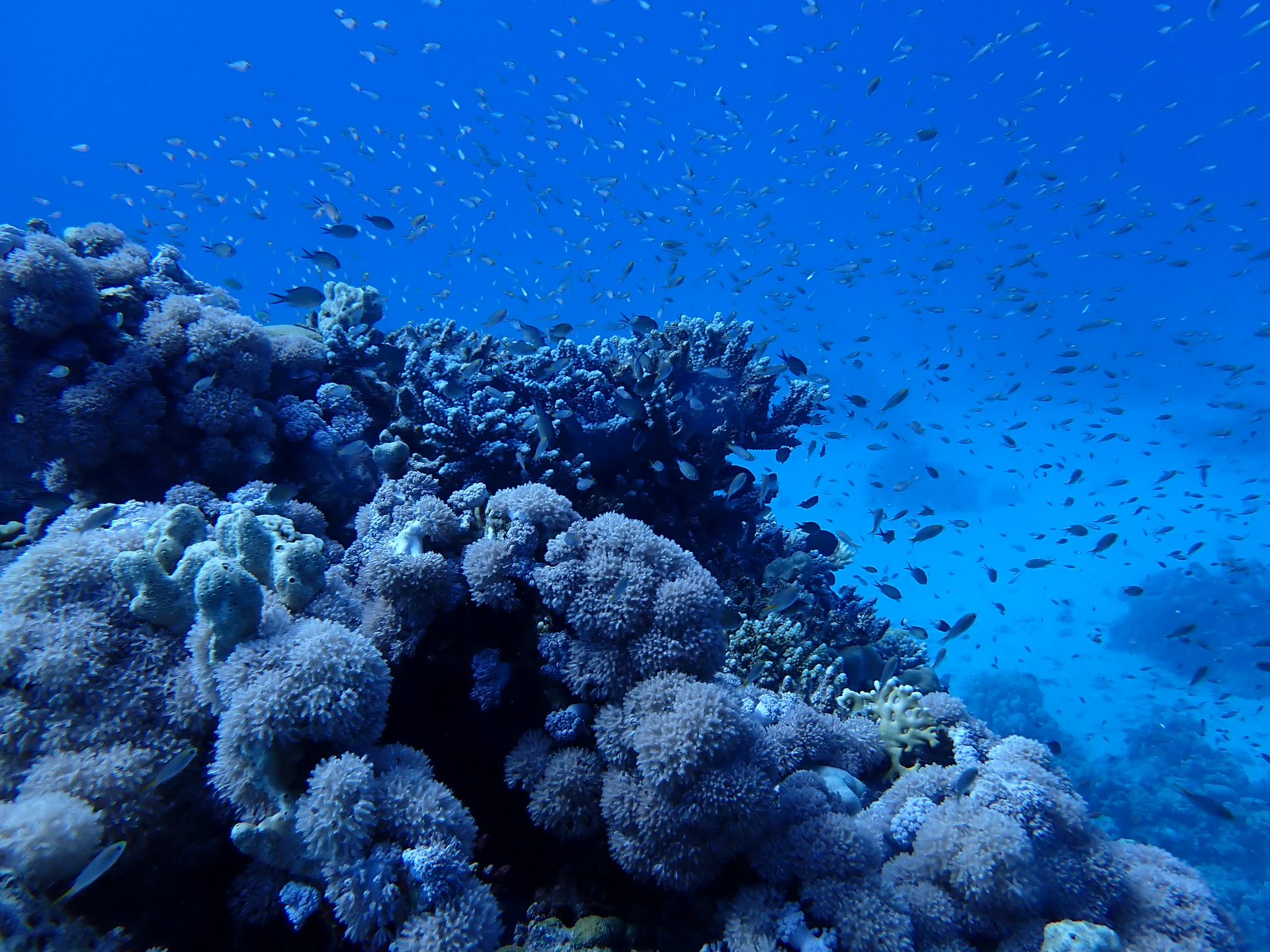 P5172699.JPG