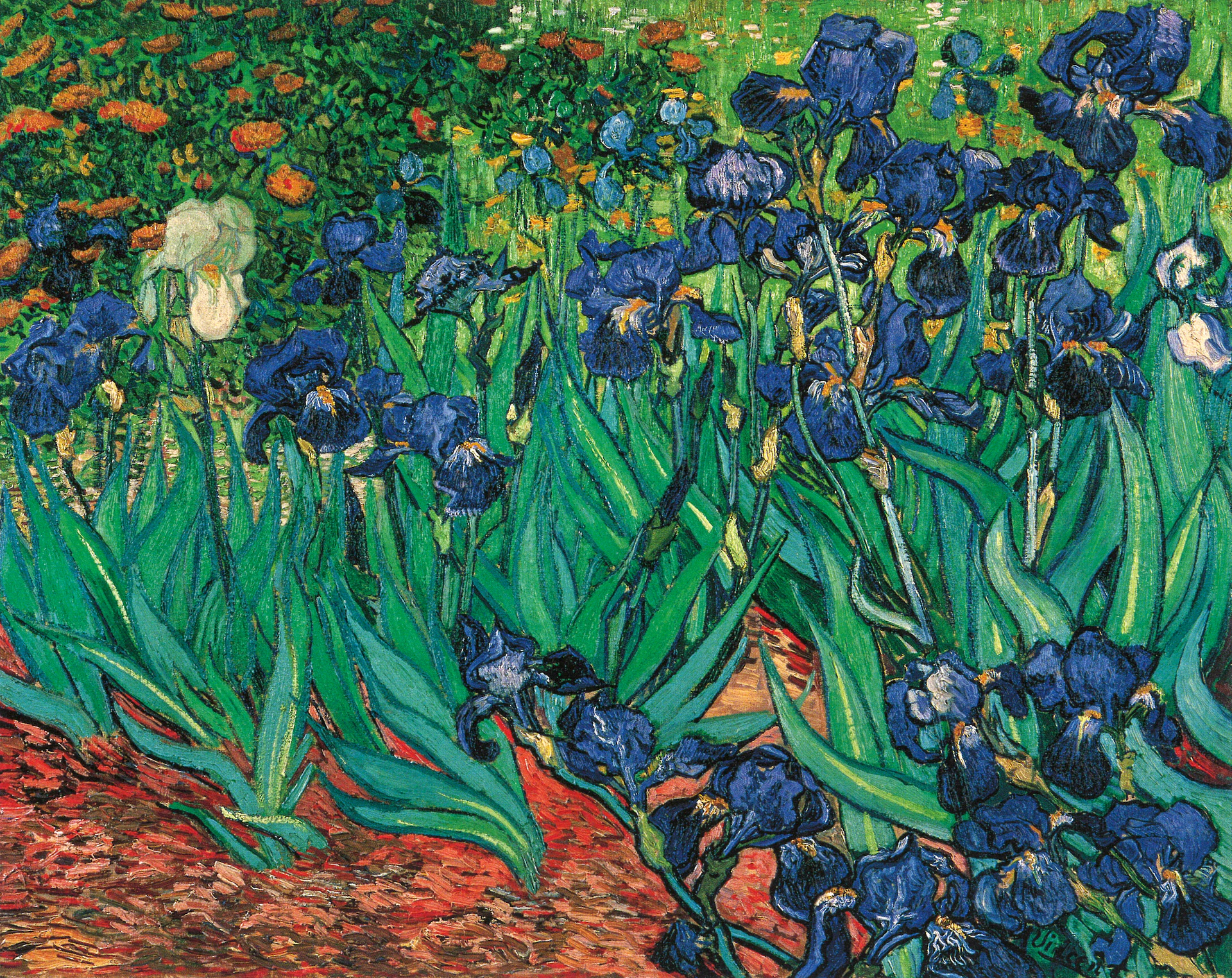 1889-Saint-R--Iris-VVG.jpg