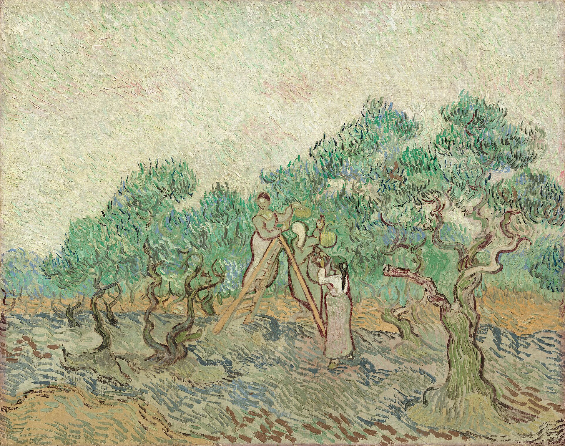 1889-CeuilleuseOlive.jpg