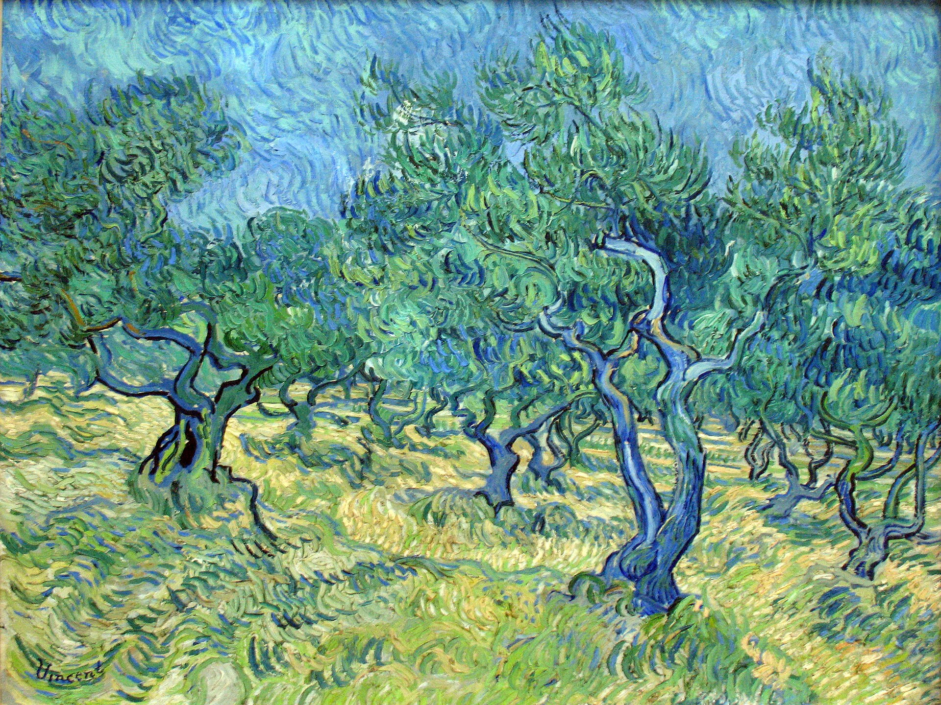 1889-06_van_Gogh_Olivengarten_anagoria.JPG