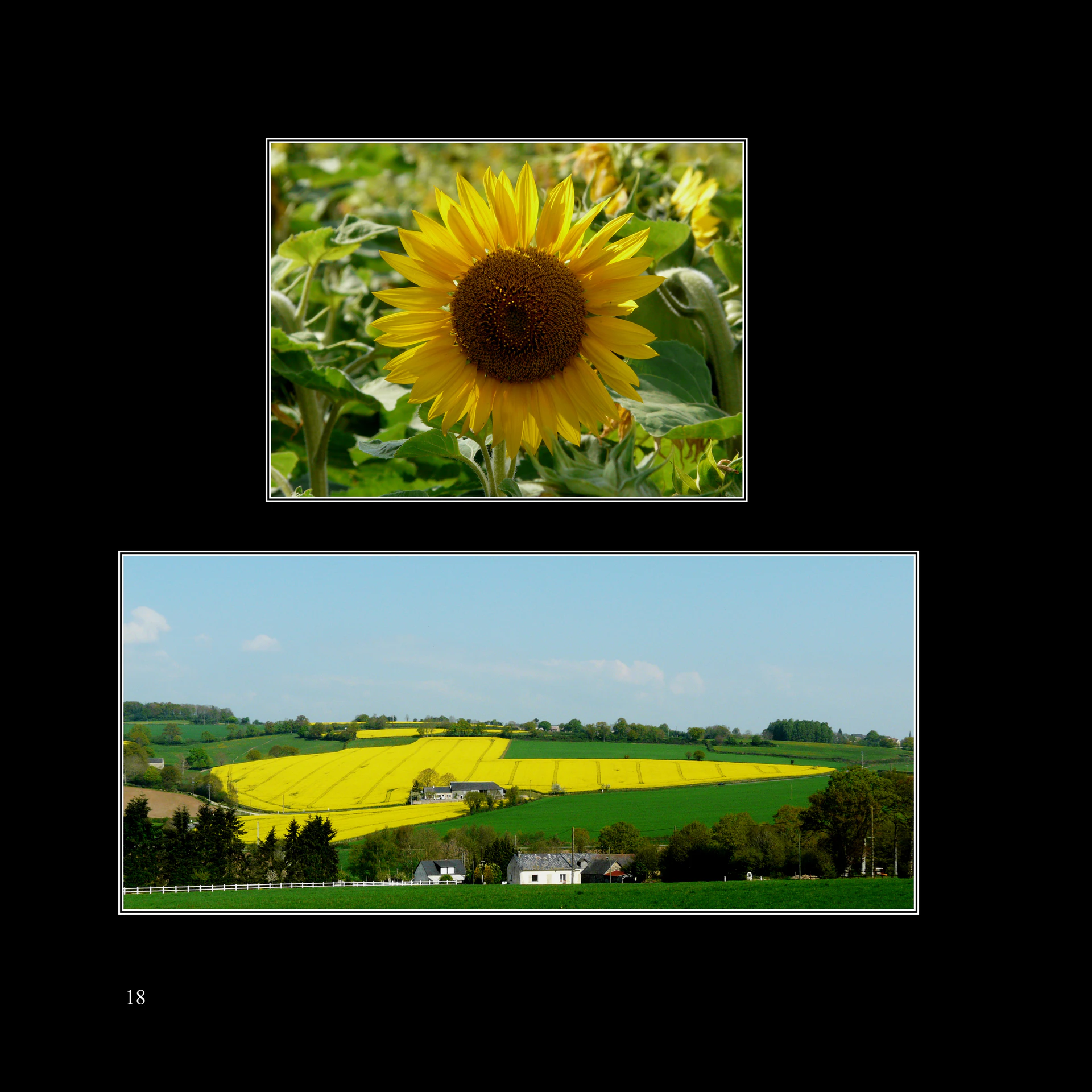 Slide22.JPG