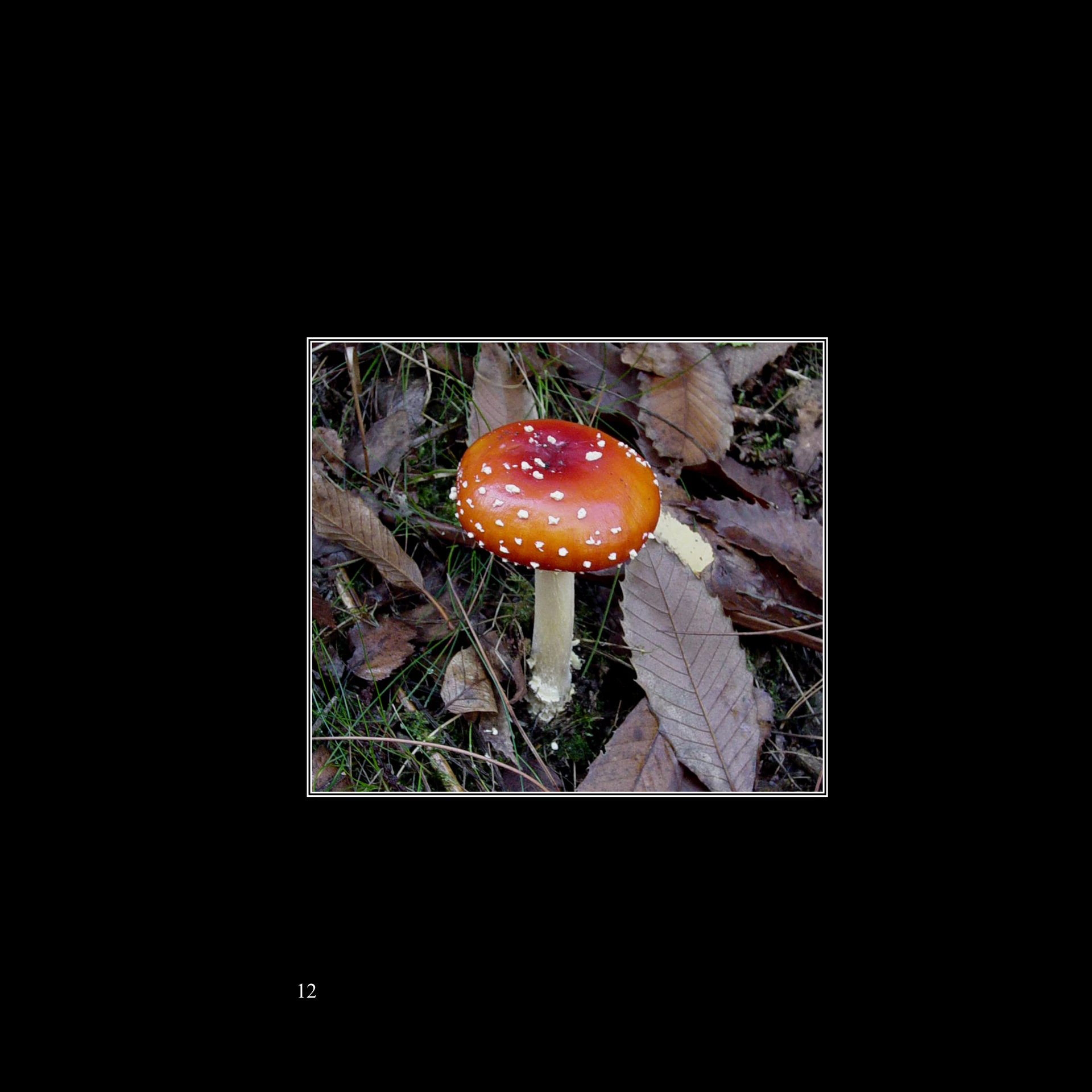 Slide16.JPG