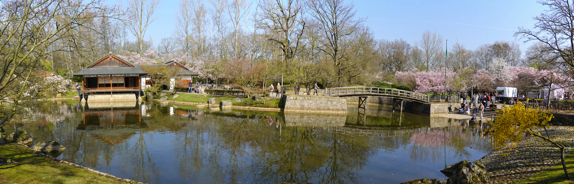 Hasselt-Cerisiers-26-06.jpg