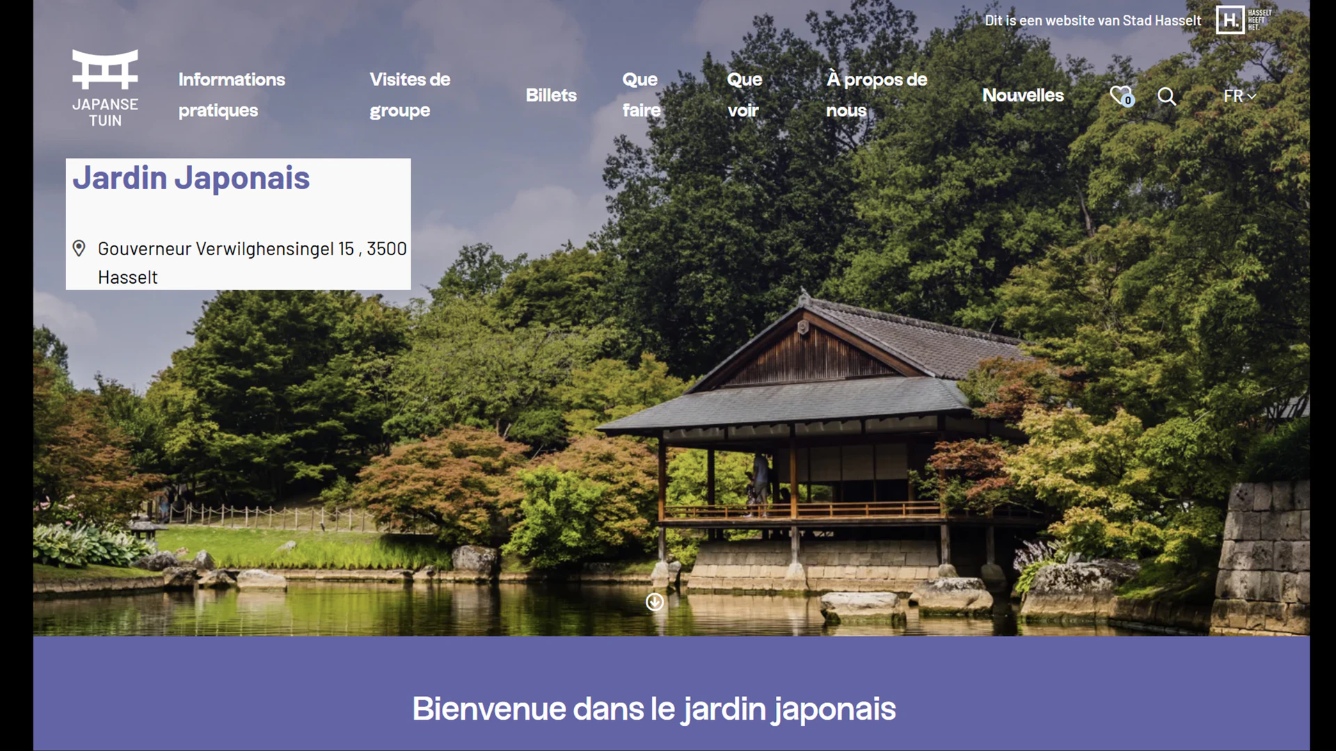 Cerisier du Japon