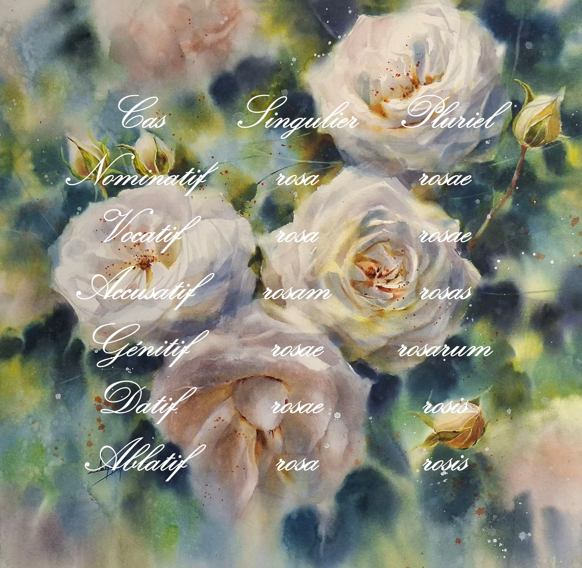 Roses-02.JPG